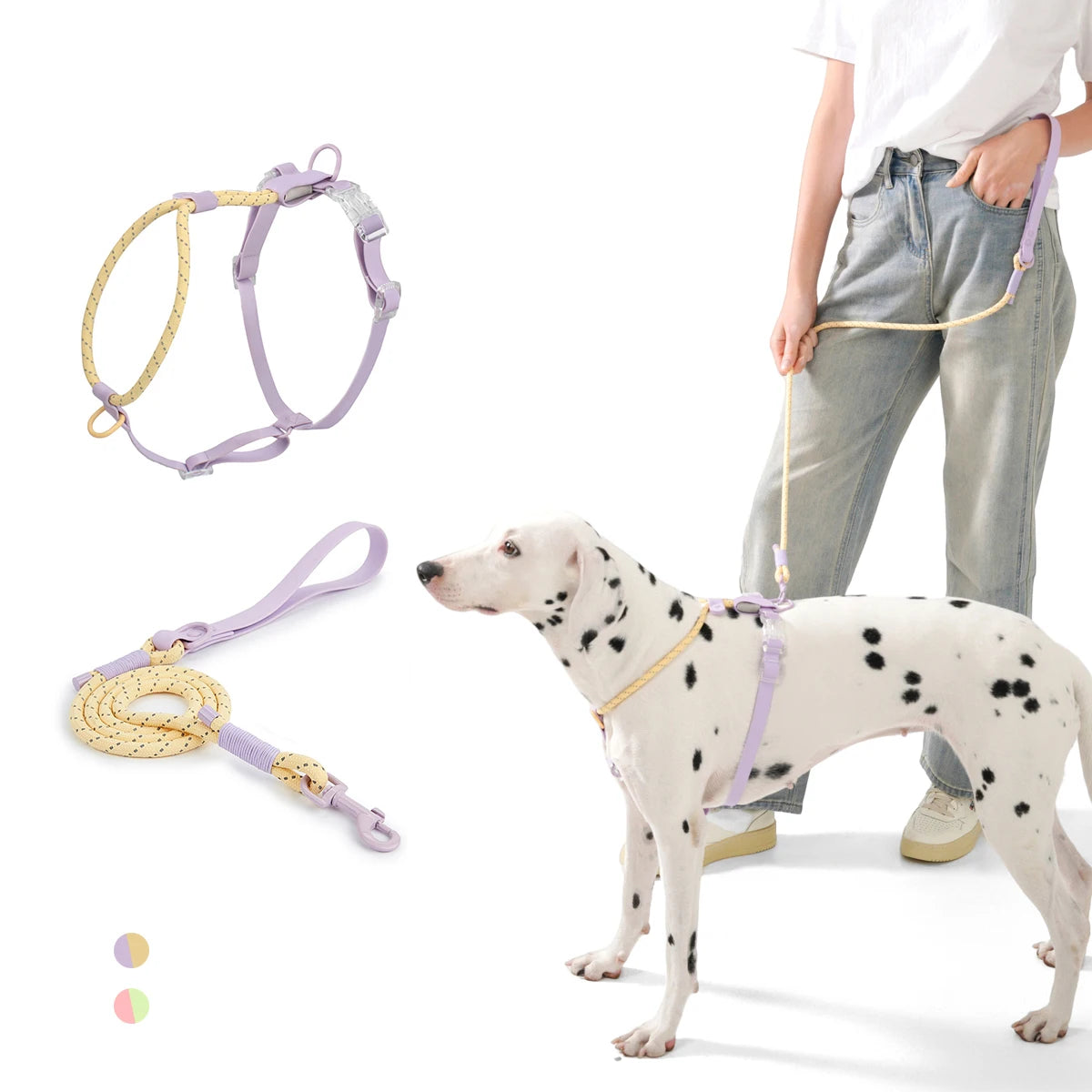 Transform hot, frantic summer walks into a cool, synchronized fashion runway—shielding your pup with featherlight breathability and unshakeable nighttime safety.