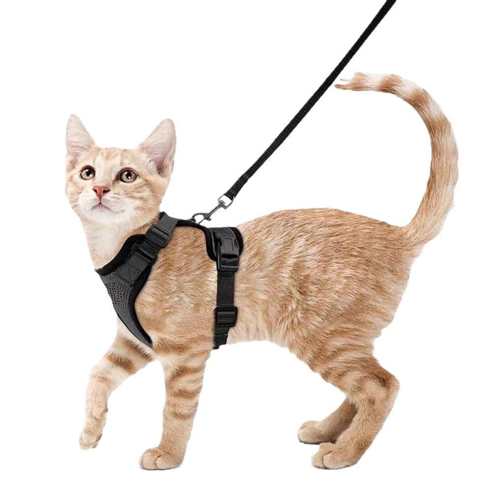 Escape Proof Cat Vest Harness & Leash Set | Soft Adjustable Walking Jacket