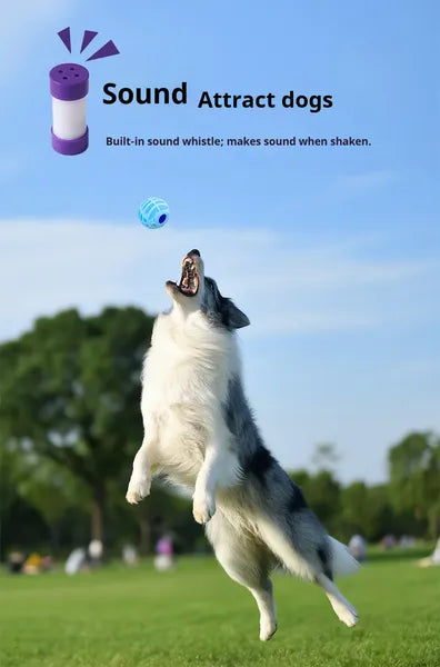 Interactive Pet Sound Ball | Smart Squeaky Voice Toy for Dogs & Cats