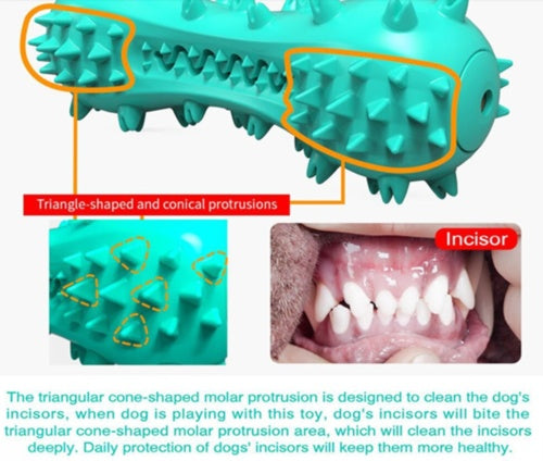 Durable Molar Stick | Rubber Teeth Cleaning Toy for Aggressive Dogs