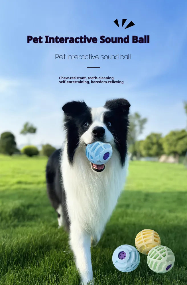 Interactive Pet Sound Ball | Smart Squeaky Voice Toy for Dogs & Cats