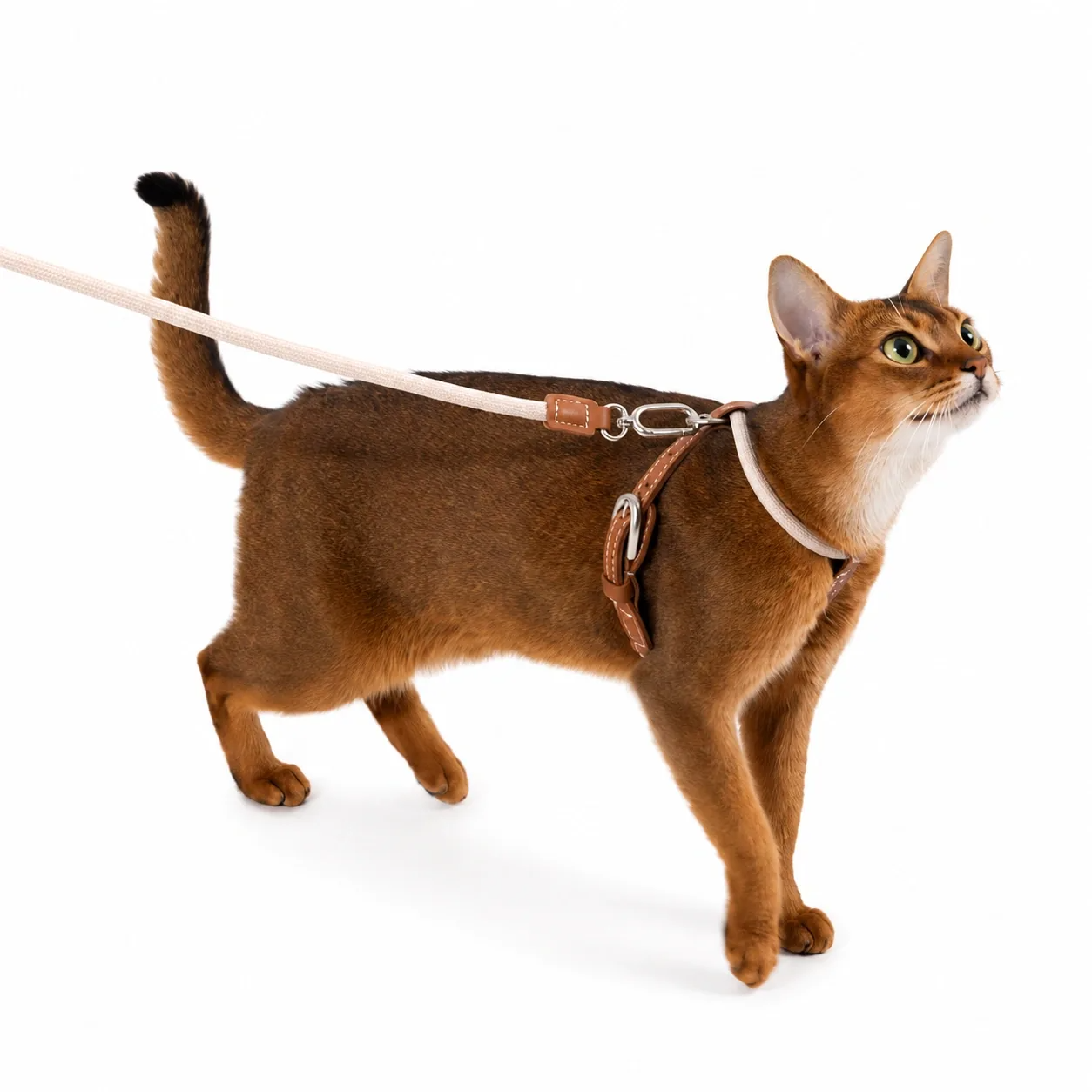 Unlock your indoor cat's natural curiosity with a featherlight, elegant harness that feels like a gentle hug—granting them the freedom to explore while giving you absolute peace of mind.