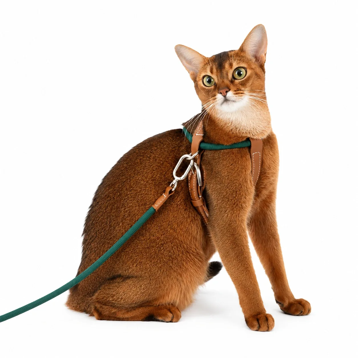 Unlock your indoor cat's natural curiosity with a featherlight, elegant harness that feels like a gentle hug—granting them the freedom to explore while giving you absolute peace of mind.