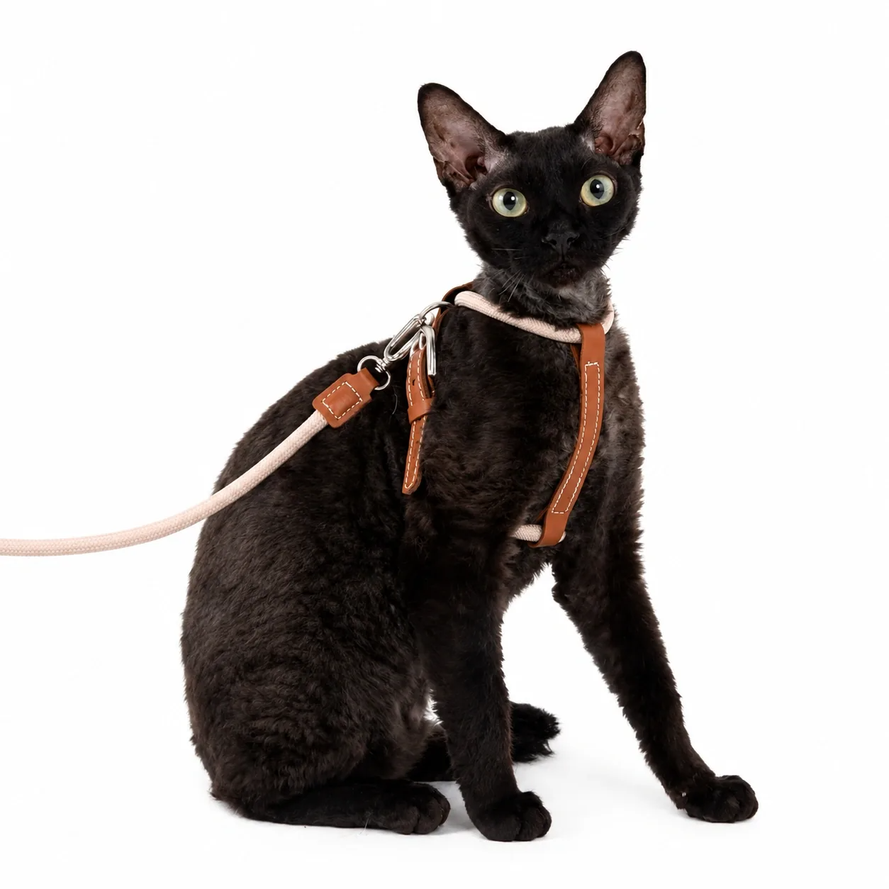 Unlock your indoor cat's natural curiosity with a featherlight, elegant harness that feels like a gentle hug—granting them the freedom to explore while giving you absolute peace of mind.