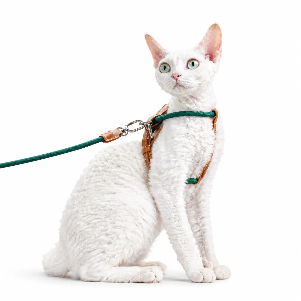 Unlock your indoor cat's natural curiosity with a featherlight, elegant harness that feels like a gentle hug—granting them the freedom to explore while giving you absolute peace of mind.