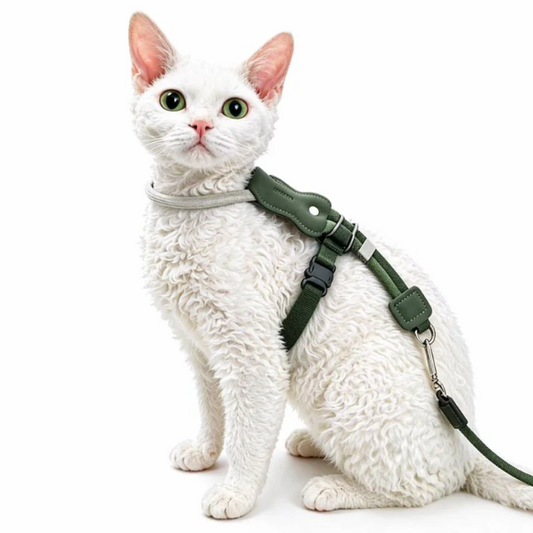 Unlock your indoor cat's natural curiosity with a whisper-light, minimalist harness that fuses absolute escape-proof security with breathtaking modern style.