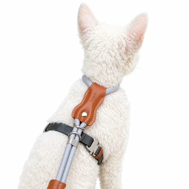 Unlock your indoor cat's natural curiosity with a whisper-light, minimalist harness that fuses absolute escape-proof security with breathtaking modern style.