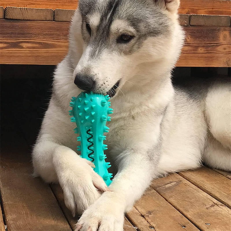Durable Molar Stick | Rubber Teeth Cleaning Toy for Aggressive Dogs