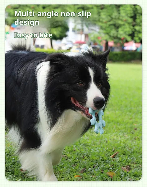 Interactive Flywheel Dog Frisbee | Durable Fetch Toy for Bonding