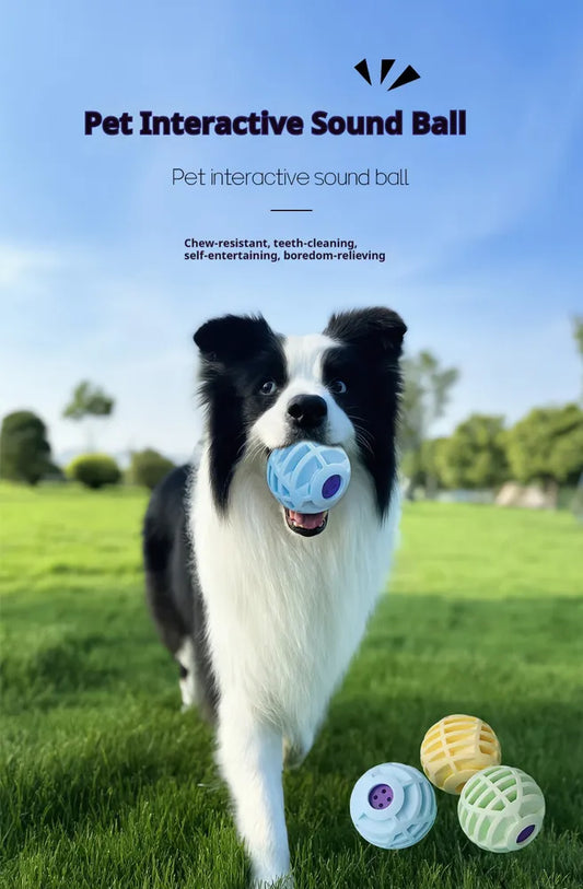 Interactive Pet Sound Ball | Smart Squeaky Voice Toy for Dogs & Cats