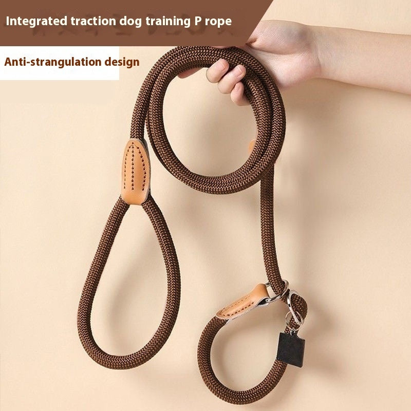 Heavy Duty Dog Slip Lead | Rope Training Leash (No Collar Needed)