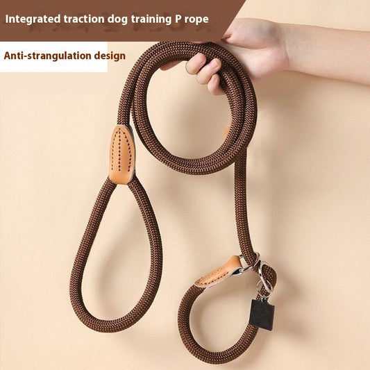 Heavy Duty Dog Slip Lead | Rope Training Leash (No Collar Needed)