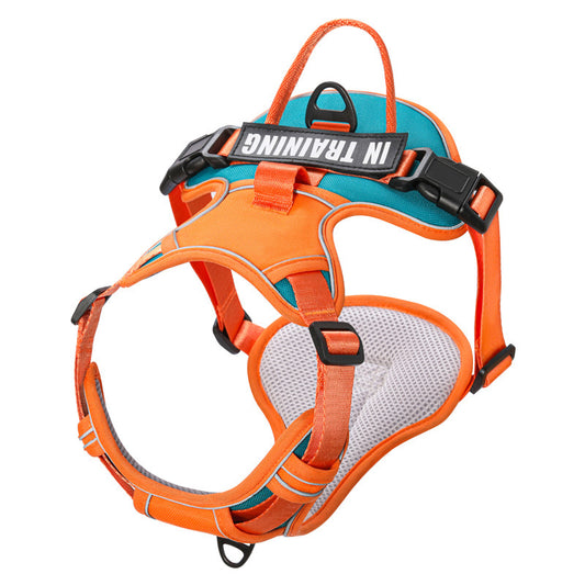Reflective Sport Dog Harness | No-Pull Padded Vest with Control Handle