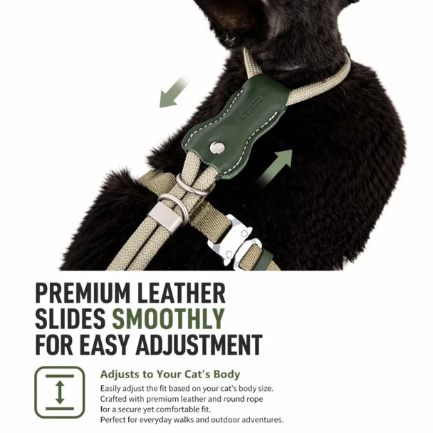 Unlock your indoor cat's natural curiosity with a whisper-light, minimalist harness that fuses absolute escape-proof security with breathtaking modern style.