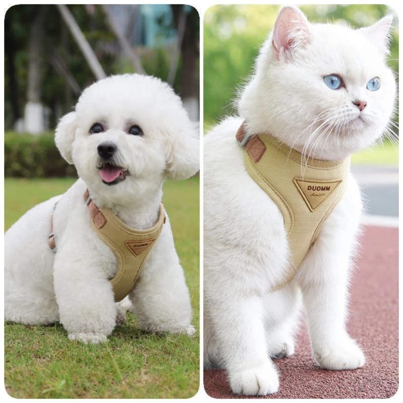 Step outside with absolute confidence and seamless style, knowing your feline adventurer is secure, cool, and comfortably embraced.