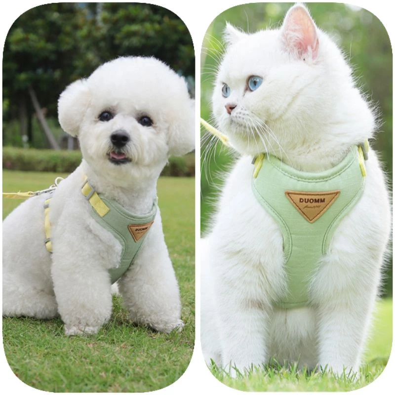 Step outside with absolute confidence and seamless style, knowing your feline adventurer is secure, cool, and comfortably embraced.