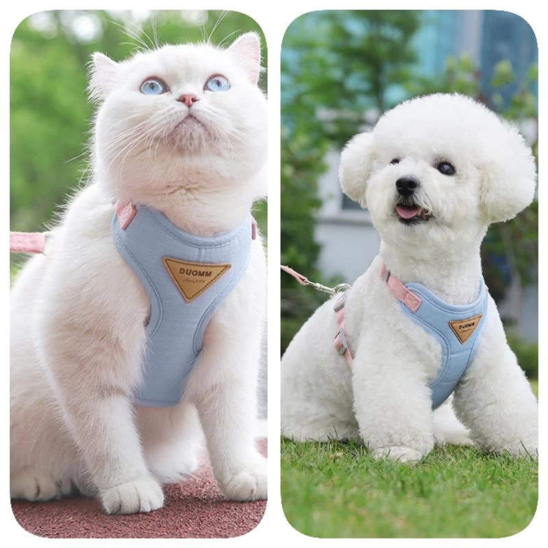 Step outside with absolute confidence and seamless style, knowing your feline adventurer is secure, cool, and comfortably embraced.